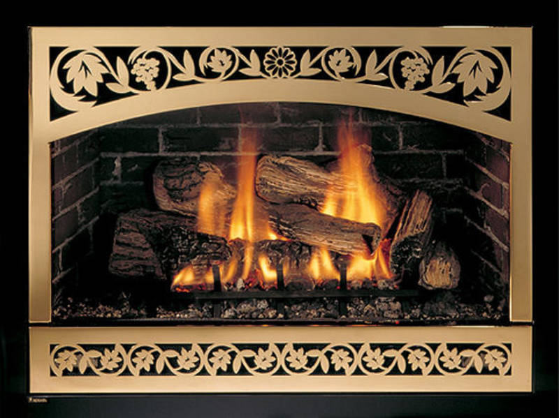 Mendota Gas Stoves & Fireplaces