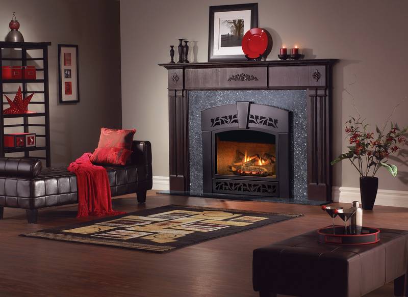 Gas Stoves & Fireplaces